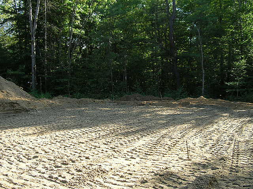 landclearing