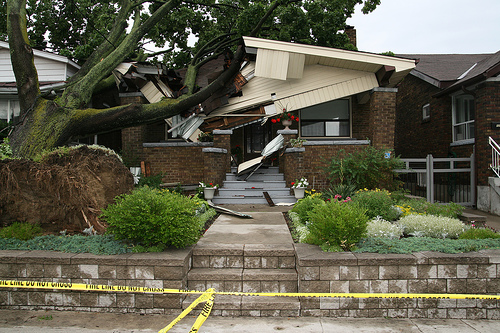 insurance